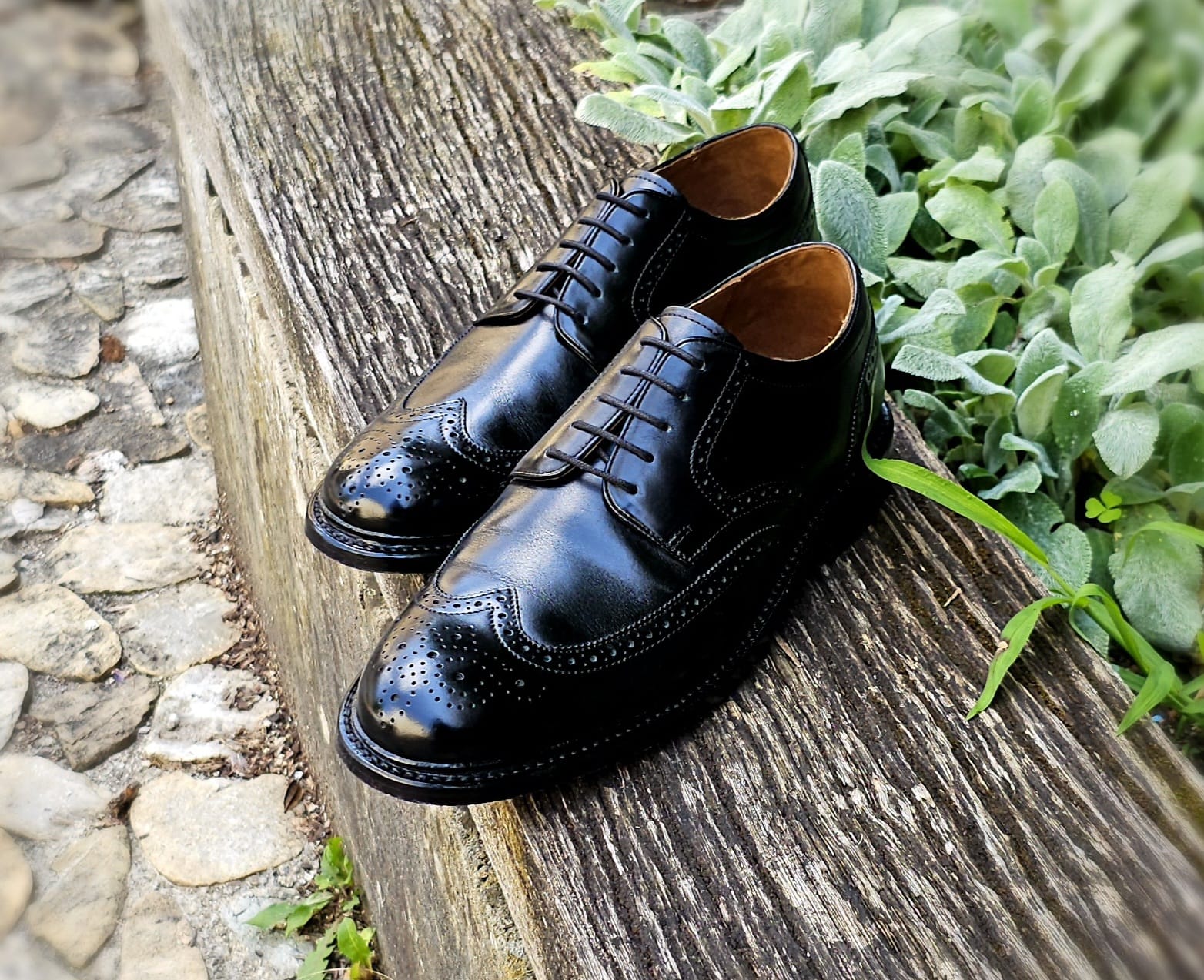 Derby Wingtip Black